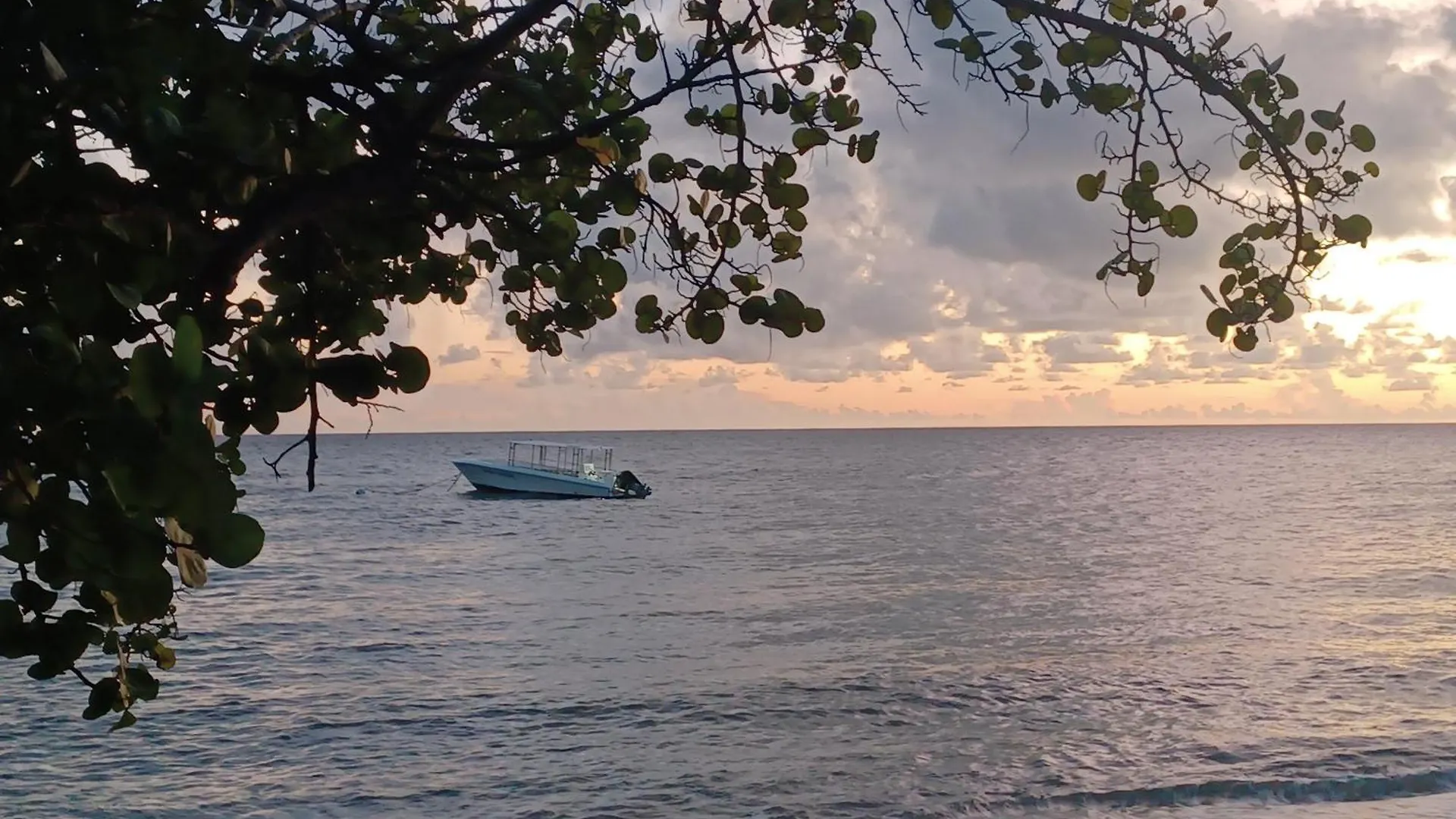 Ti Rhum Passion Vue Mer Dans Celebre Village De Vacances Sainte-Luce Apartment
