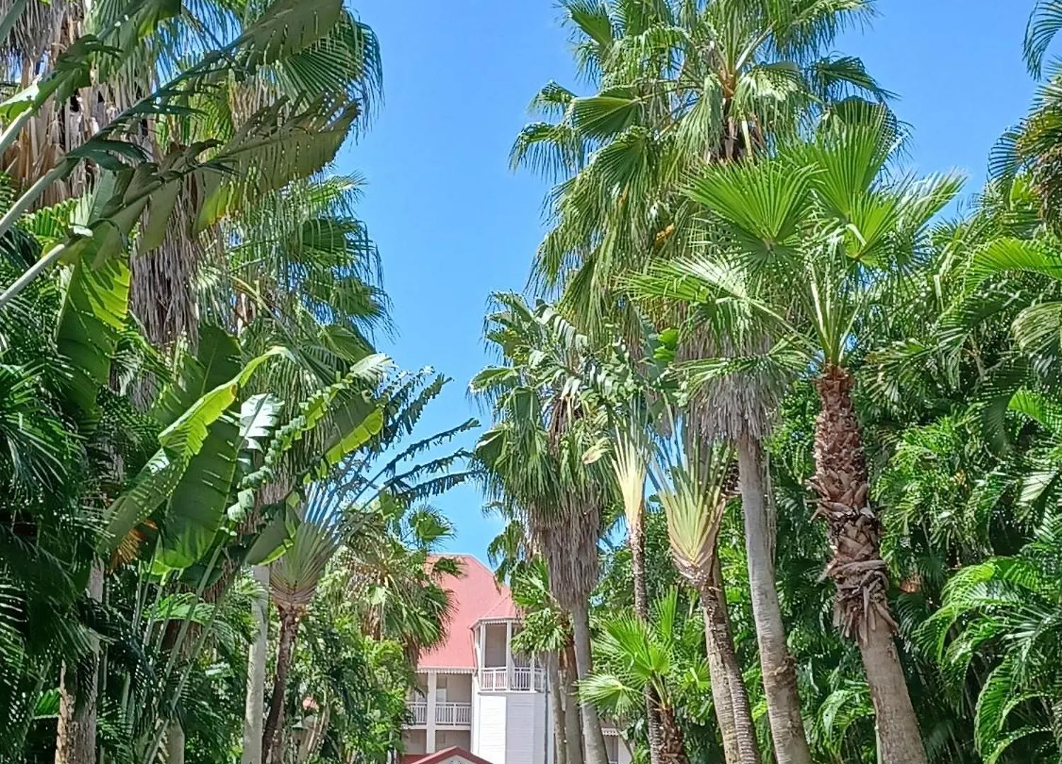 Apartment Ti Rhum Passion Vue Mer Dans Celebre Village De Vacances Sainte-Luce