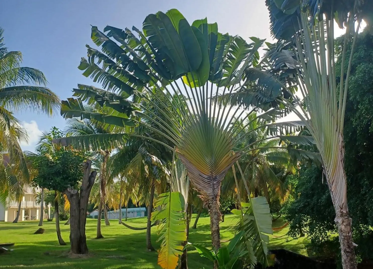 Ti Rhum Passion Vue Mer Dans Celebre Village De Vacances Sainte-Luce Apartment