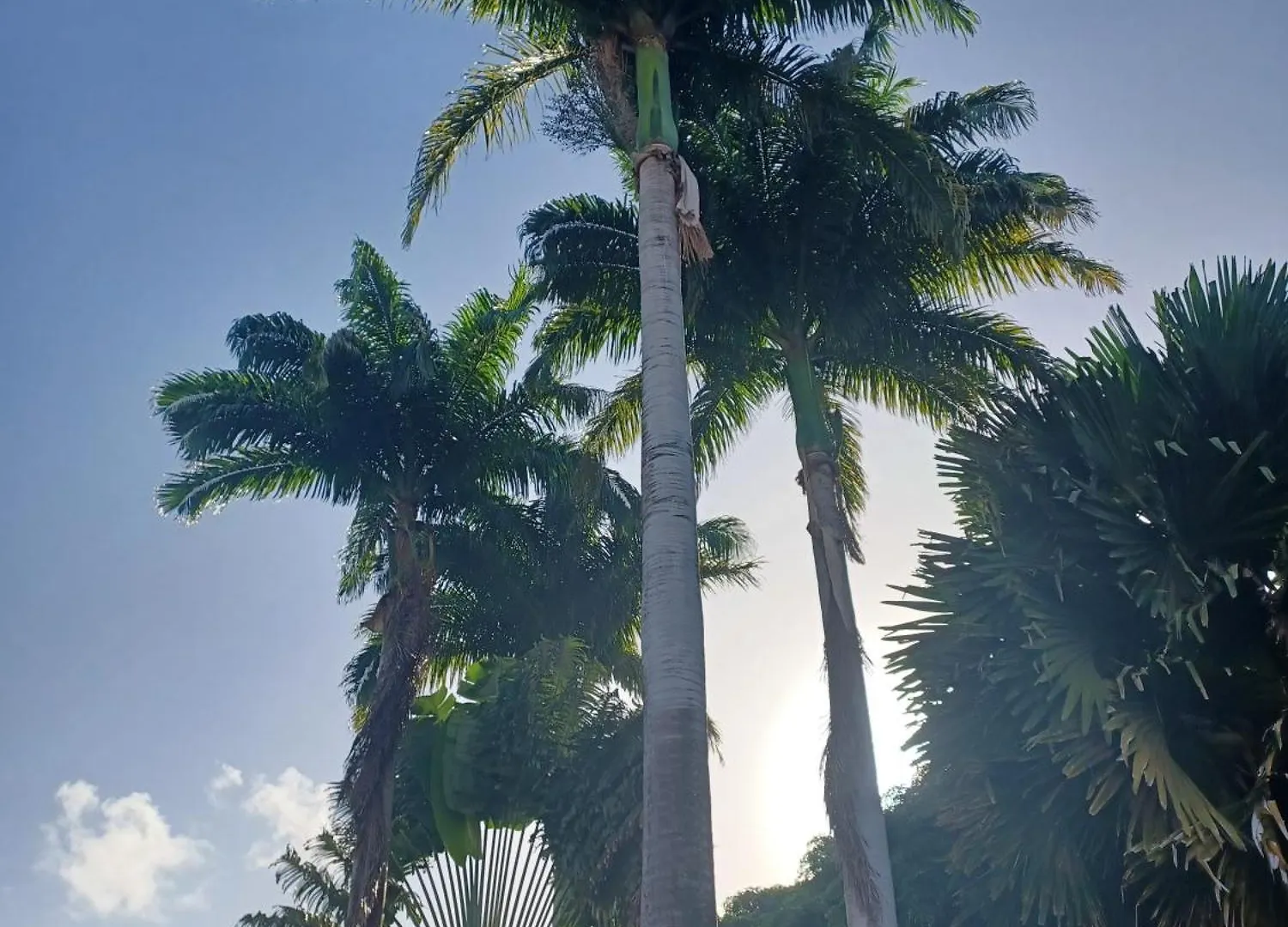 Ti Rhum Passion Vue Mer Dans Celebre Village De Vacances Sainte-Luce Apartment