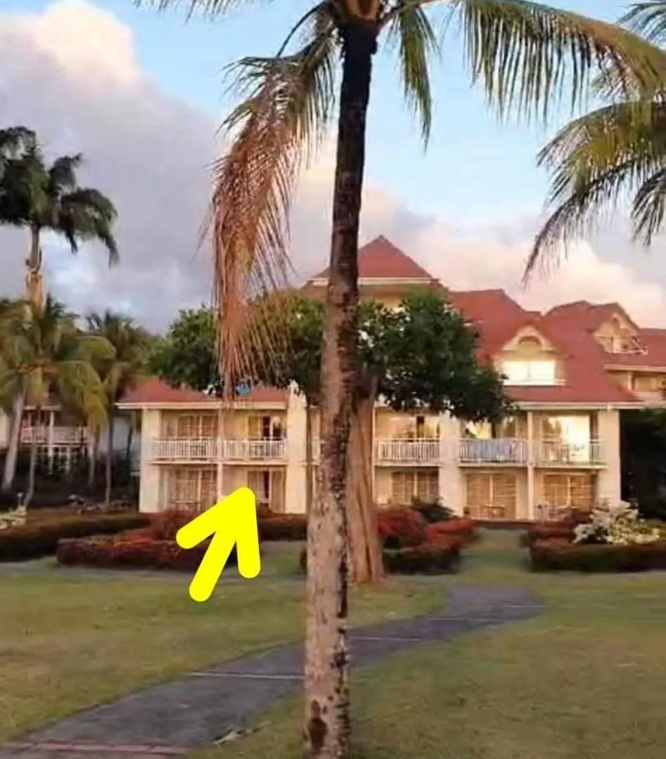 Ti Rhum Passion Vue Mer Dans Celebre Village De Vacances 圣吕斯 0*,  马提尼克