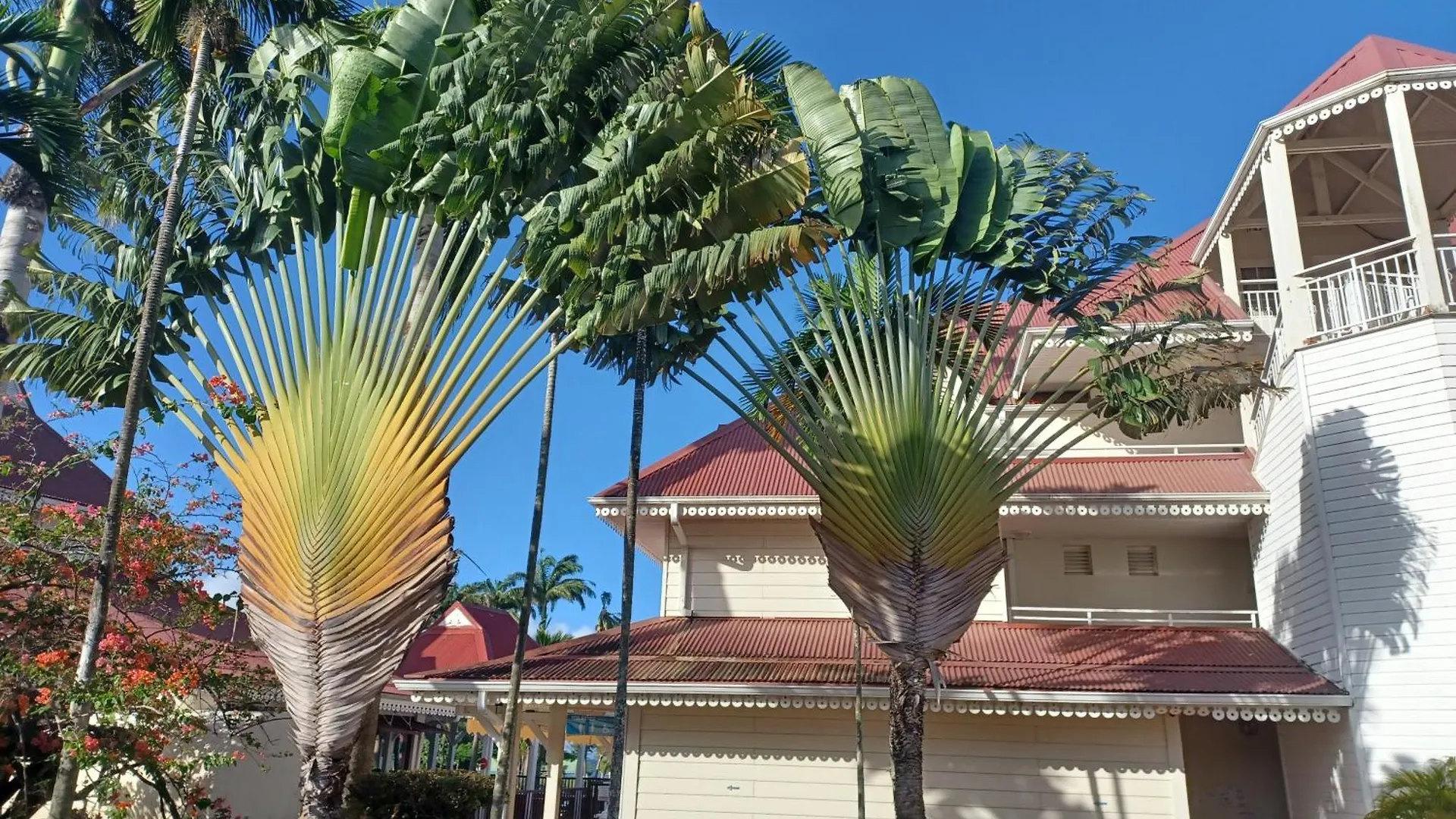 Ti Rhum Passion Vue Mer Dans Celebre Village De Vacances 圣吕斯 0*,